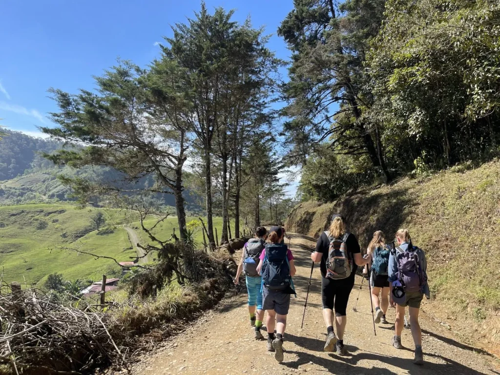 A group of hikers with backpacks and walking sticks walk along a dirt trail surrounded by trees and grassy hills under a clear blue sky.