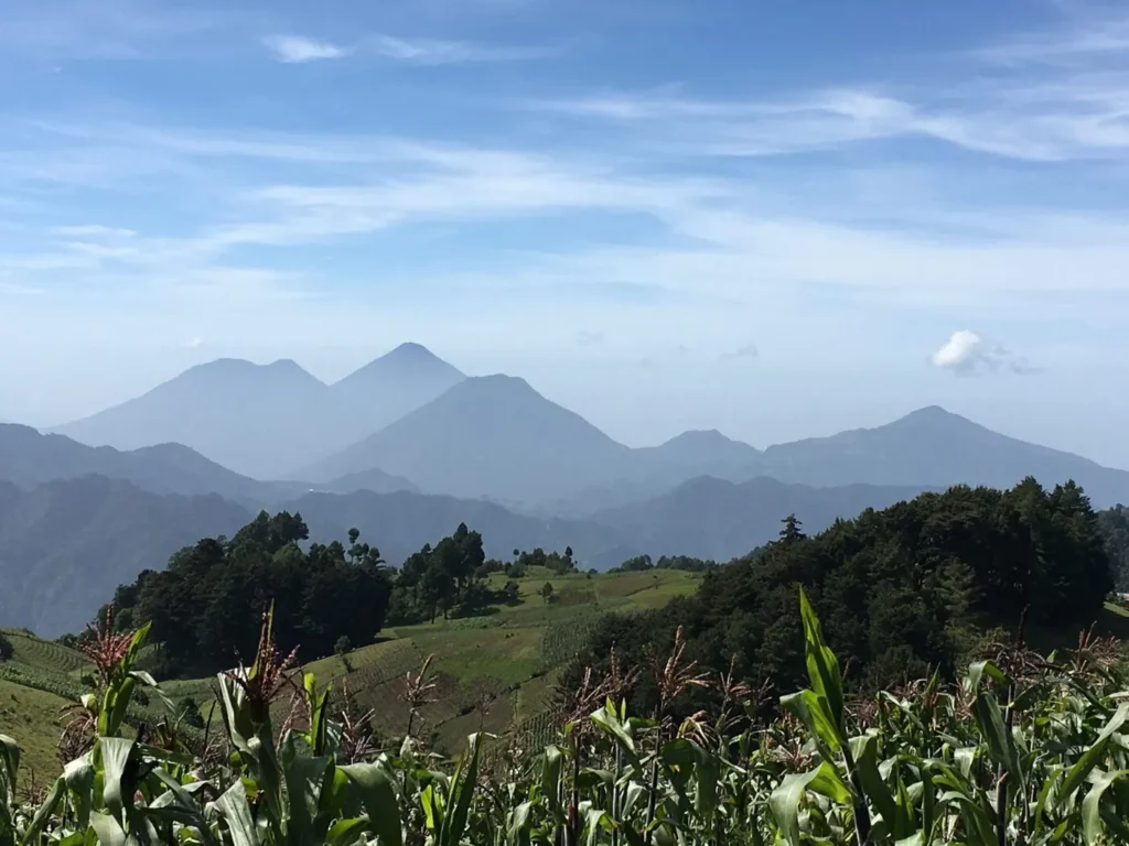 Green corn plants in the foreground with rolling hills, trees, and distant blue mountains under a partly cloudy sky.