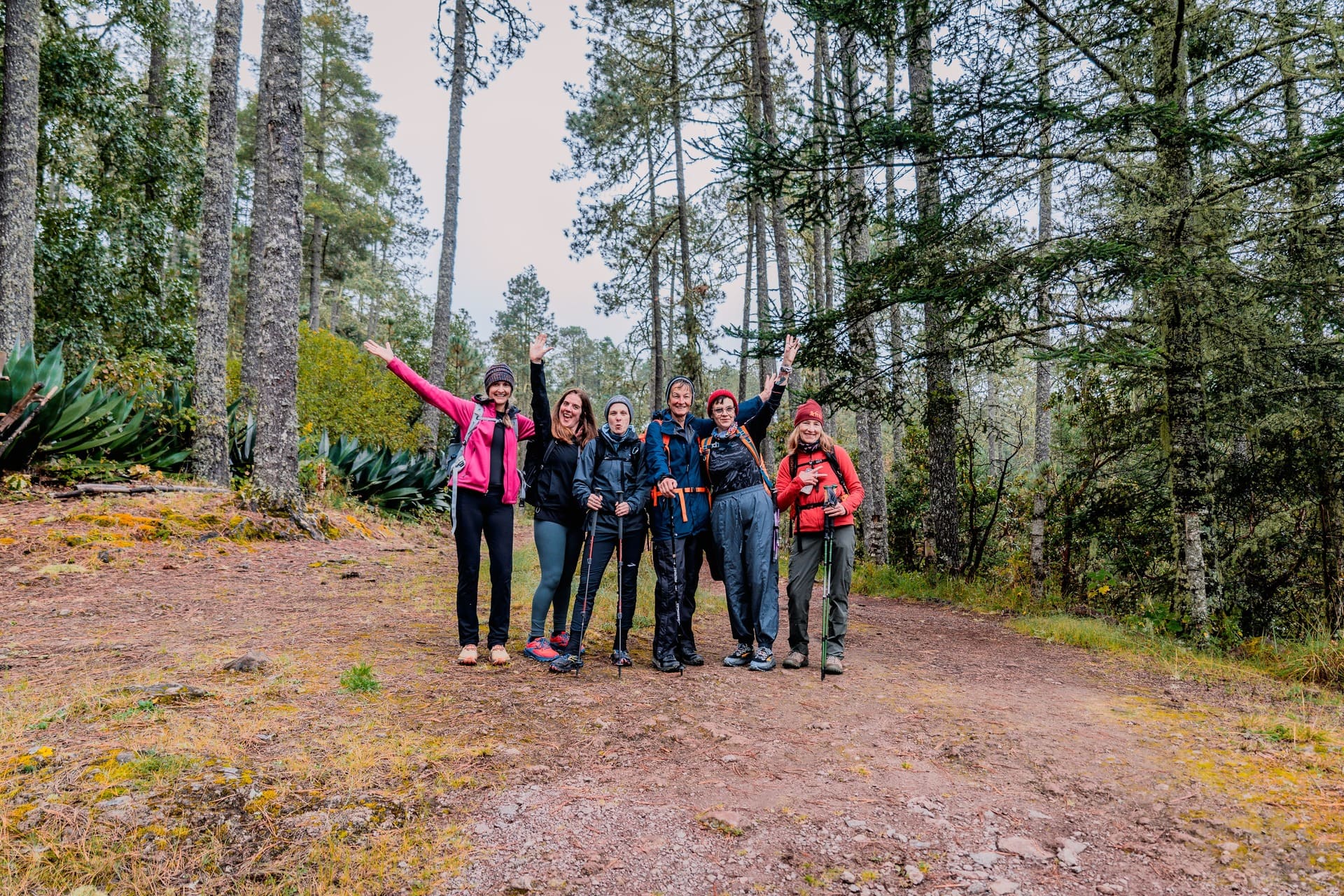 Five people stand together on a forest trail, some with arms raised and hiking gear, surrounded by tall trees and greenery.